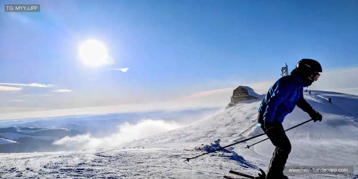 🏅 比分跳动，你的心跳与赛事同频共振！💓